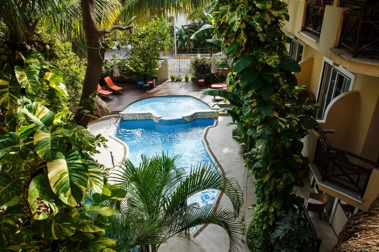 ****  Hotel Riviera Del Sol Riviera Maya Mexico